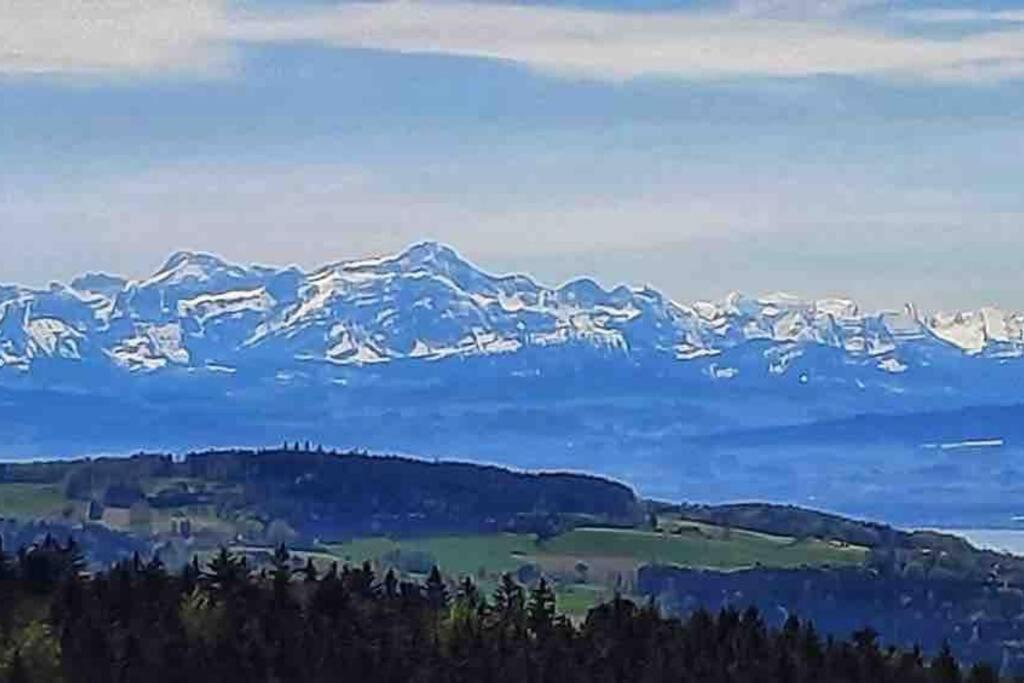 Homestay Ferienzimmer Oelhaf In Gelb Self Check-in Mit Key-tresore *